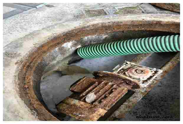 豐臺體育館游泳館時間最新更新