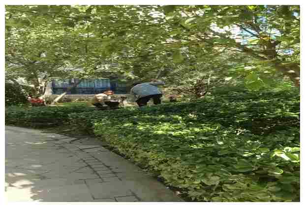 龍口市第二污水處理廠提升城市水環(huán)境質(zhì)量