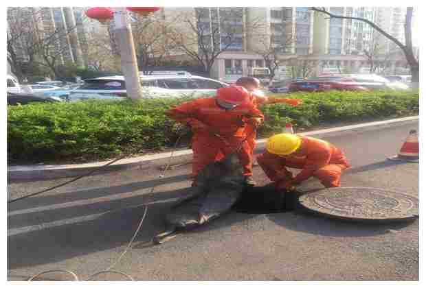 上海污水處理上市公司排名榜_上海有哪些污水廠