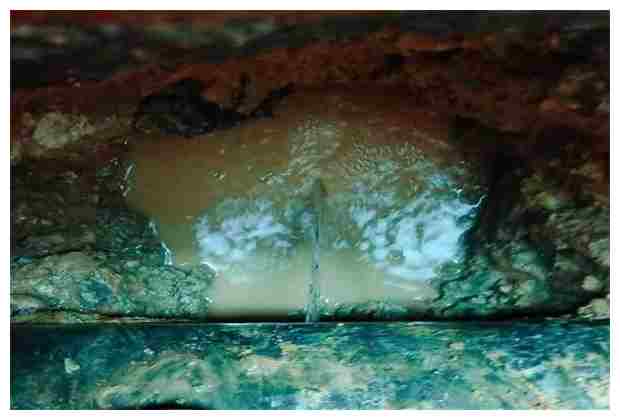 東城污水處理氣浮機的優(yōu)勢與應(yīng)用分析