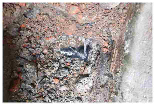 增城污水處理廠位置詳解與周邊環(huán)境分析