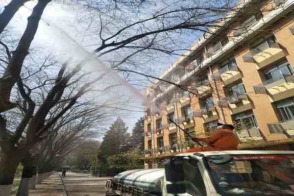 樹木打藥當(dāng)晚下雨，藥效還在嗎？