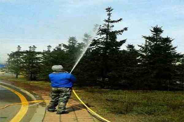 綠化打藥，時機很重要！