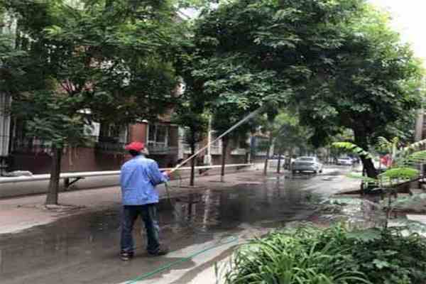 綠化打藥，時機很重要！